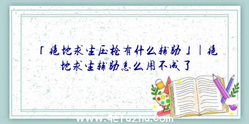 「绝地求生压枪有什么辅助」|绝地求生辅助怎么用不成了